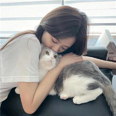 犯罪市长