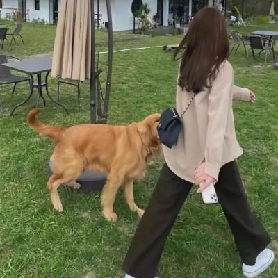 她与他